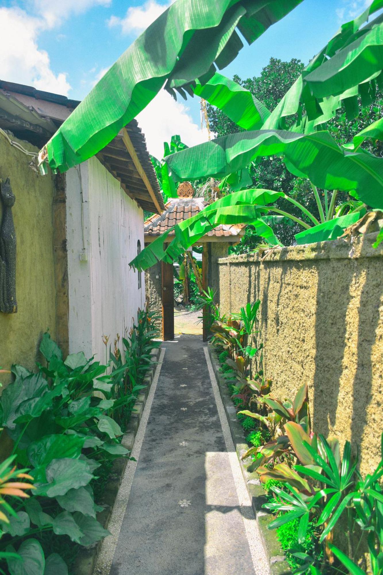 Ume Sita Villa And Homestay Ubud Exteriér fotografie